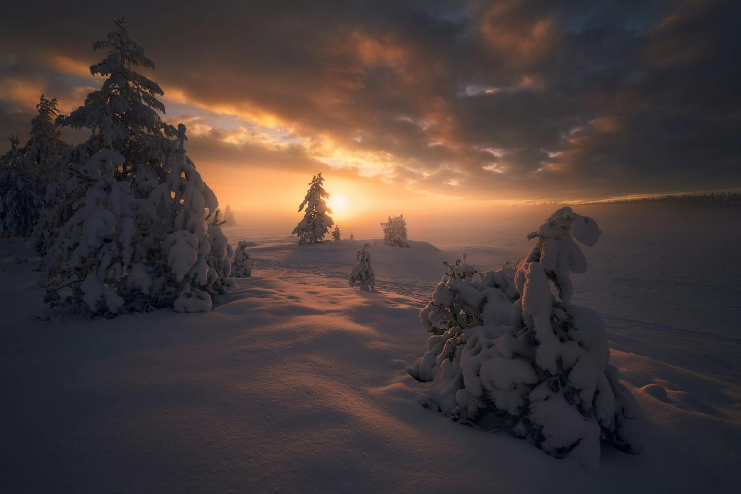 firechild snötäckt landskap